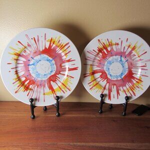 nylon x urban outfitters steve harrington plates - pair of 2 (W6282)